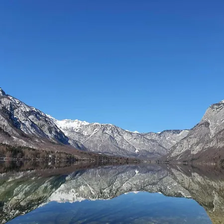 Апартаменты Tijana