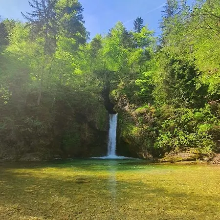 Tijana Апартаменты Номень