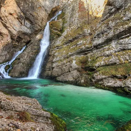 Tijana * Номень